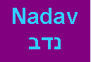 תיבת טקסט: Nadavנדב